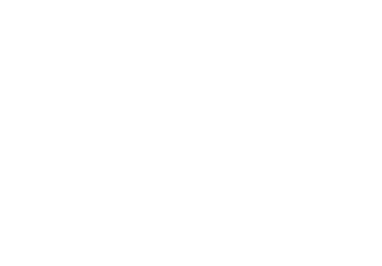 SHOP-AI